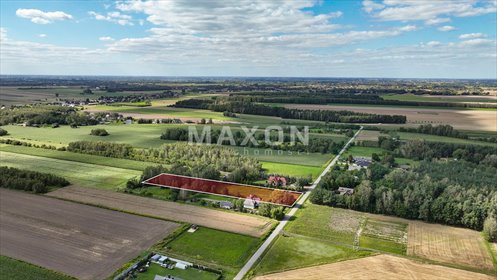 Zapraszam do obejrzenia działki 4857 m² z mediami i asfaltowym dojazdem działka Nieborów