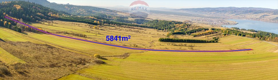 działka na sprzedaż 5841m2 działka Frydman