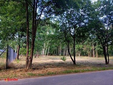 Działka budowlana 983 m² Lipiny Kolonia - polecam działka Lipiny Kolonia