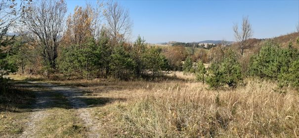 Działka inwestycyjna na sprzedaż Wysoczany 10 000m2 Foto 4