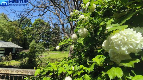 Dom wolnostojący 80m2 na dużej działce w Żółwinie dom Żółwin