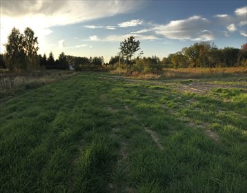 działka na sprzedaż 1431m2 działka Cholewy