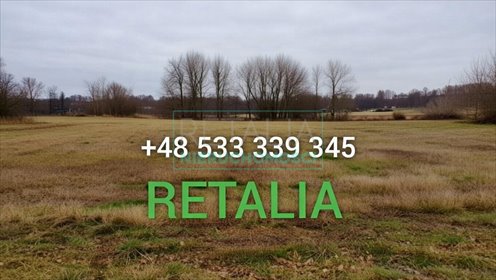 działka na sprzedaż 13000m2 działka Grójec