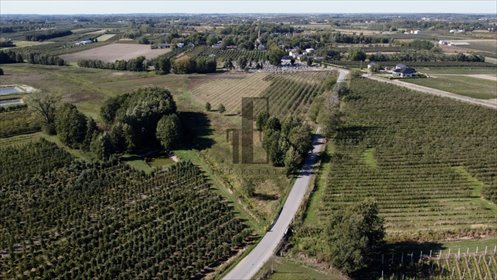 Atrakcyjna działka 7,34 ha z dostępem do drogi asfaltowej działka Boglewice