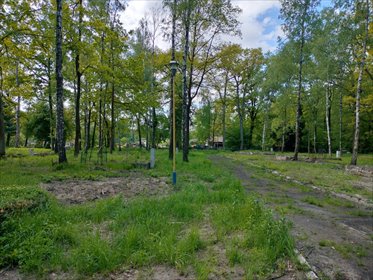 działka na sprzedaż 300m2 działka Boguszyce