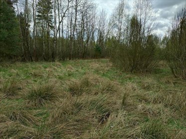 Działki 300 m² przy lesie, dostępne od ręki! działka Koniecpol