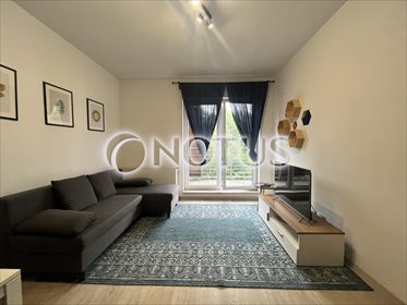 mieszkanie na wynajem 43m2 mieszkanie Katowice, Francuska