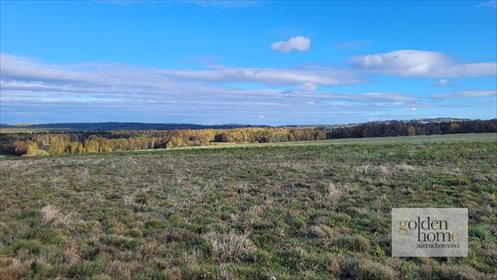 działka na sprzedaż 1217m2 działka Krzewie Wielkie, Krzewie Wielkie