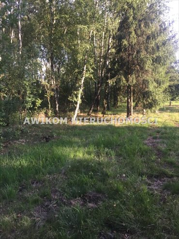 działka na sprzedaż 3850m2 działka Grodzisk Mazowiecki, Janinów