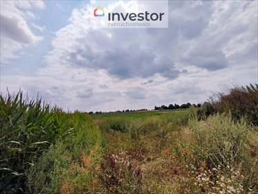 Działka budowlana na sprzedaż Zemborzyce Dolne 7 400m2 Foto 2