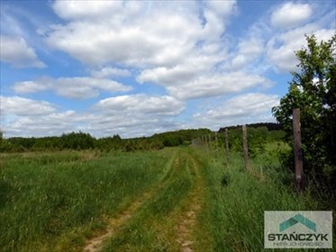 Działka rolna 4500 m² z prądem, atrakcyjna cena działka Stawno