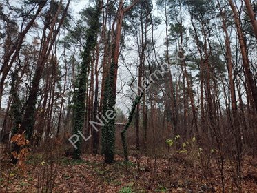 działka na sprzedaż 1512m2 działka Owczarnia