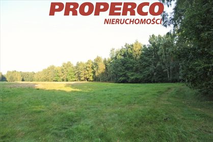 Do sprzedania działka 35 000 m² z lasem i mediami w Mościskach działka Mościska