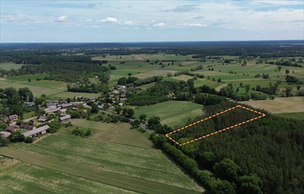 Działka rolno - leśna w Luboczy - Gmina Rzeczyca działka Lubocz
