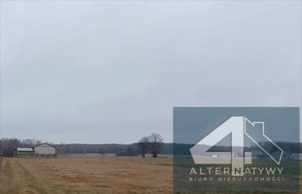 Działka rolna na sprzedaż Włodzimierz, Włodzimierz 11 90 000m2 Foto 5