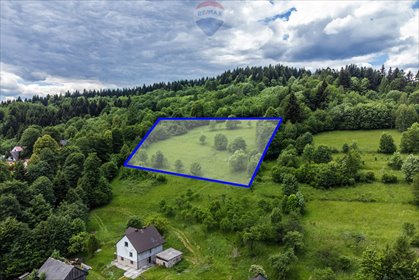 działka na sprzedaż 6070m2 działka Kuków