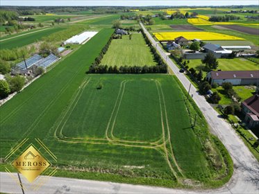 Działka budowlana na sprzedaż Grabówka 1 308m2 Foto 4