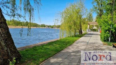 działka na sprzedaż 3931m2 działka Augustów