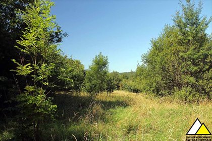 działka na sprzedaż 1050m2 działka Świecie