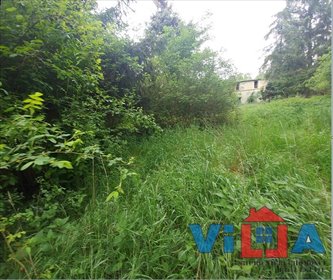 Działka z domem do remontu (2200 m²) z dużym ogrodem dom Przytok, Przytoczki