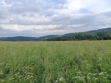 działka na sprzedaż 22085m2 działka Walim
