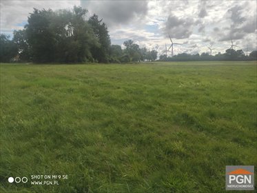 Polecam działkę 10 000 m² w spokojnej okolicy Skrobotowa działka Skrobotowo
