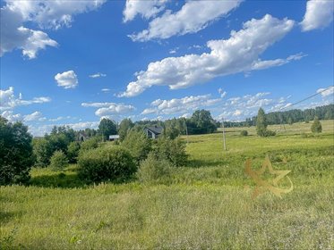 działka na sprzedaż 3500m2 działka Rybniki