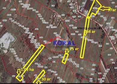 Działka leśna na sprzedaż Skrzypiów, Pińczów - Skrzypiów 10 400m2 Foto 2