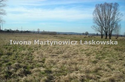 działka na sprzedaż 2864m2 działka Lubin