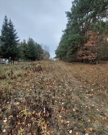 Działka budowlano-rolna 8600 m2 blisko Puszczy Kampinoskiej. działka Stanisławów