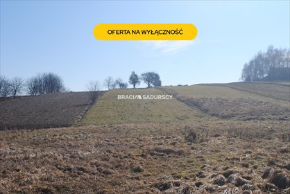 Działka 6650 m² z MPZP, wjazd, wzniesienie (Bodzanów) działka Bodzanów
