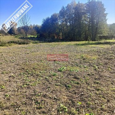 działka na sprzedaż 980m2 działka Sułków