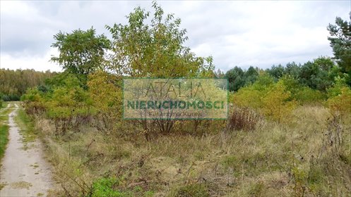 Działka budowlana 1141m2 w Wiskitkach z mediami działka Wiskitki