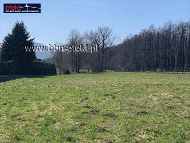 Działka budowlana na sprzedaż Biery 2 573m2 Foto 2