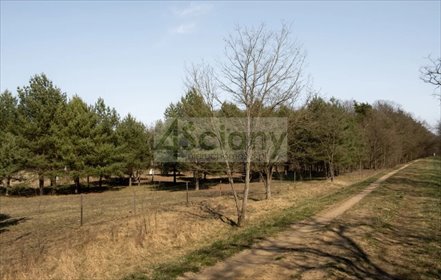 działka na sprzedaż 1906m2 działka Rajszew