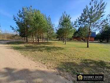 działka na sprzedaż 3000m2 działka Kowalowce