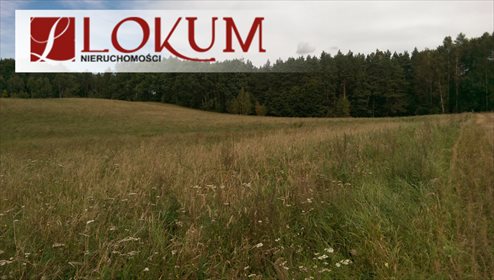 Działka budowlana na sprzedaż Sucha Huta 3 004m2 Foto 2