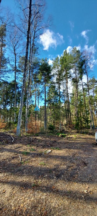 Działka 804 m² pod zabudowę mieszkaniową lub usługową działka Chwaszczyno, Adama Mickiewicza