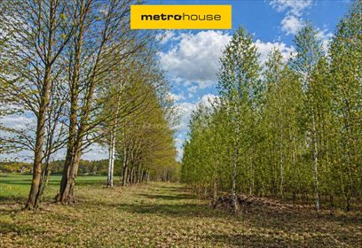 działka na sprzedaż 3000m2 działka Wólka Strobowska