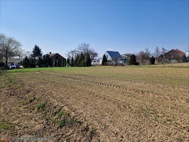 działka na sprzedaż 2500m2 działka Celiny