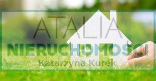 Zapraszam do zakupu działki 4800 m² z mediami i planem zabudowy działka Słubica A