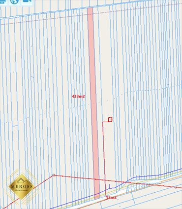 Działka leśna na sprzedaż Kusięta, Kusięta Małe 5 250m2 Foto 5