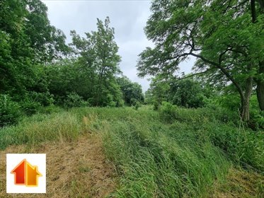 działka na sprzedaż 1466m2 działka Gąbin, Kielniki