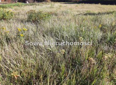działka na sprzedaż 2514m2 działka Jelenia Góra, Strupice