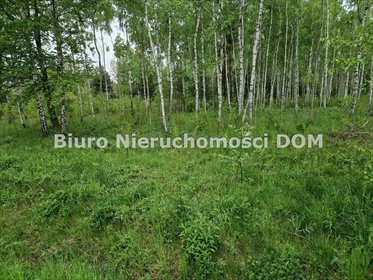 działka na sprzedaż 1523m2 działka Rybna