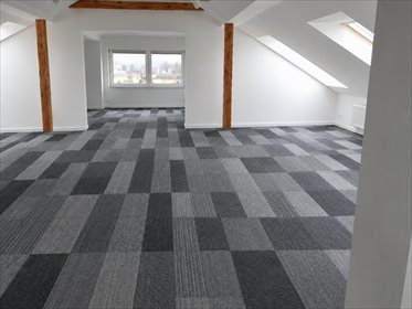 Wynajmę przestronny lokal 250 m² w centrum Puław lokal użytkowy Puławy, Centrum, ZIELONA