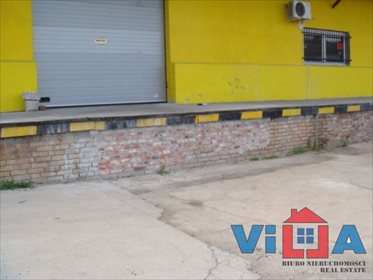 Magazyn na wynajem Zielona Góra, Przylep 247m2 Foto 5