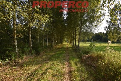 Lokal użytkowy na sprzedaż Drugnia 78 600m2 Foto 5