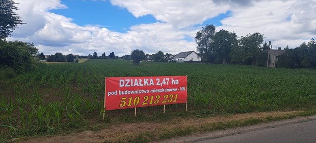 Duża działka pod 10 domów (1,18 ha) w Krępiecju działka Krępiec, Spokojna