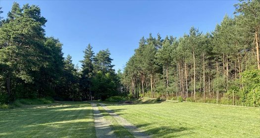 działka na sprzedaż 2120m2 działka Skrzeszew, Łączna